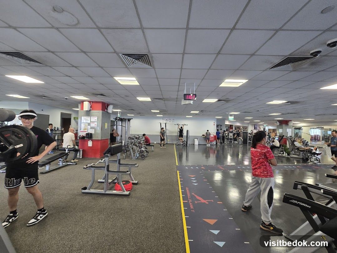 Gym Interior