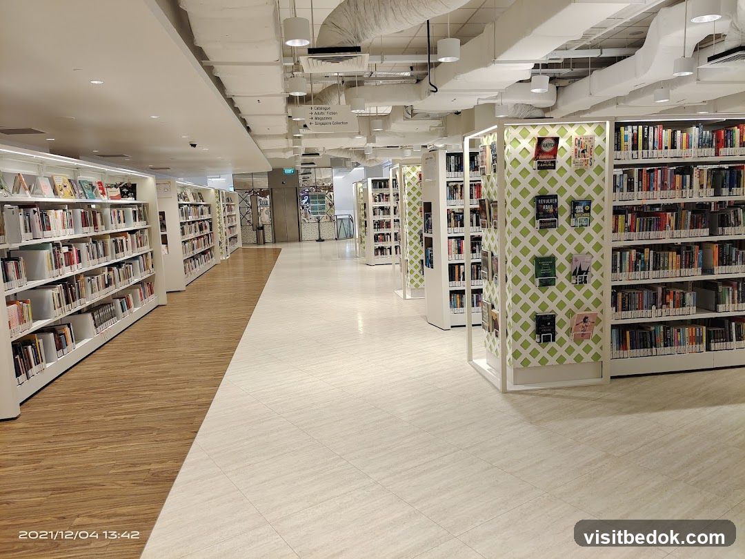 Library Interior