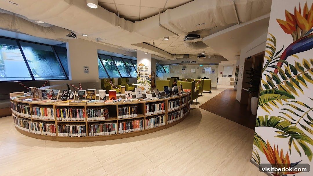 Library Interior with Bookshelves and Seating