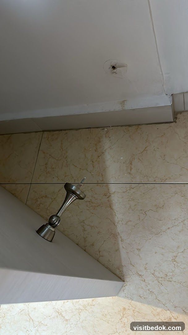 Ceiling fixture and wall tiles