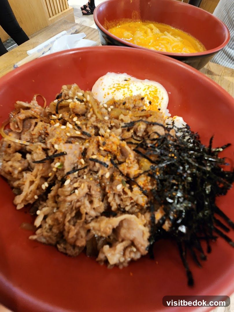 Beef Bowl and Noodle Soup