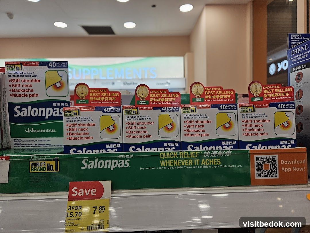 Salonpas Pain Relief Patches