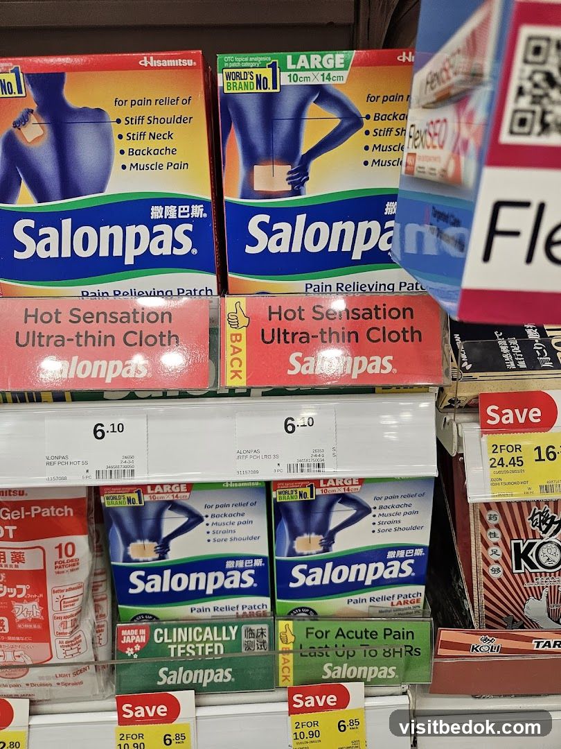 Salonpas Pain Relief Patches