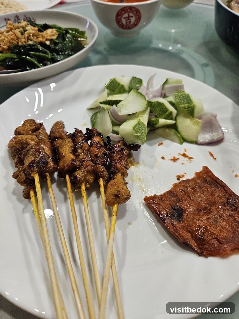 Satay with Cucumber and Onion Salad