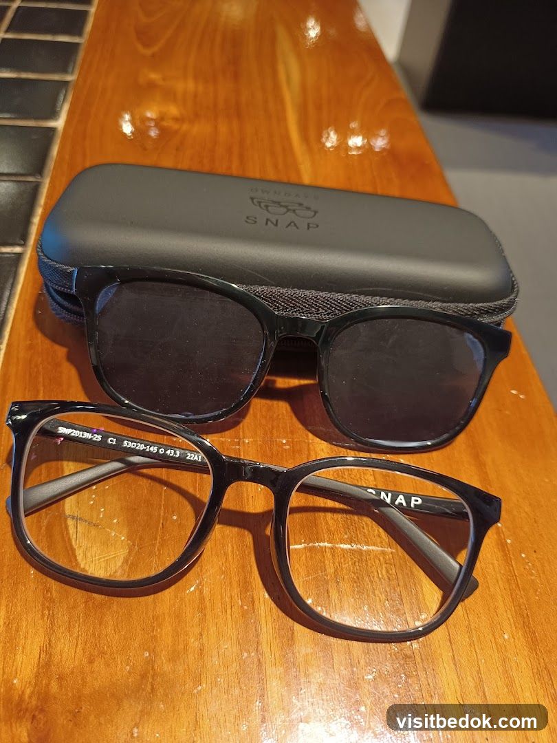Eyeglasses and Case