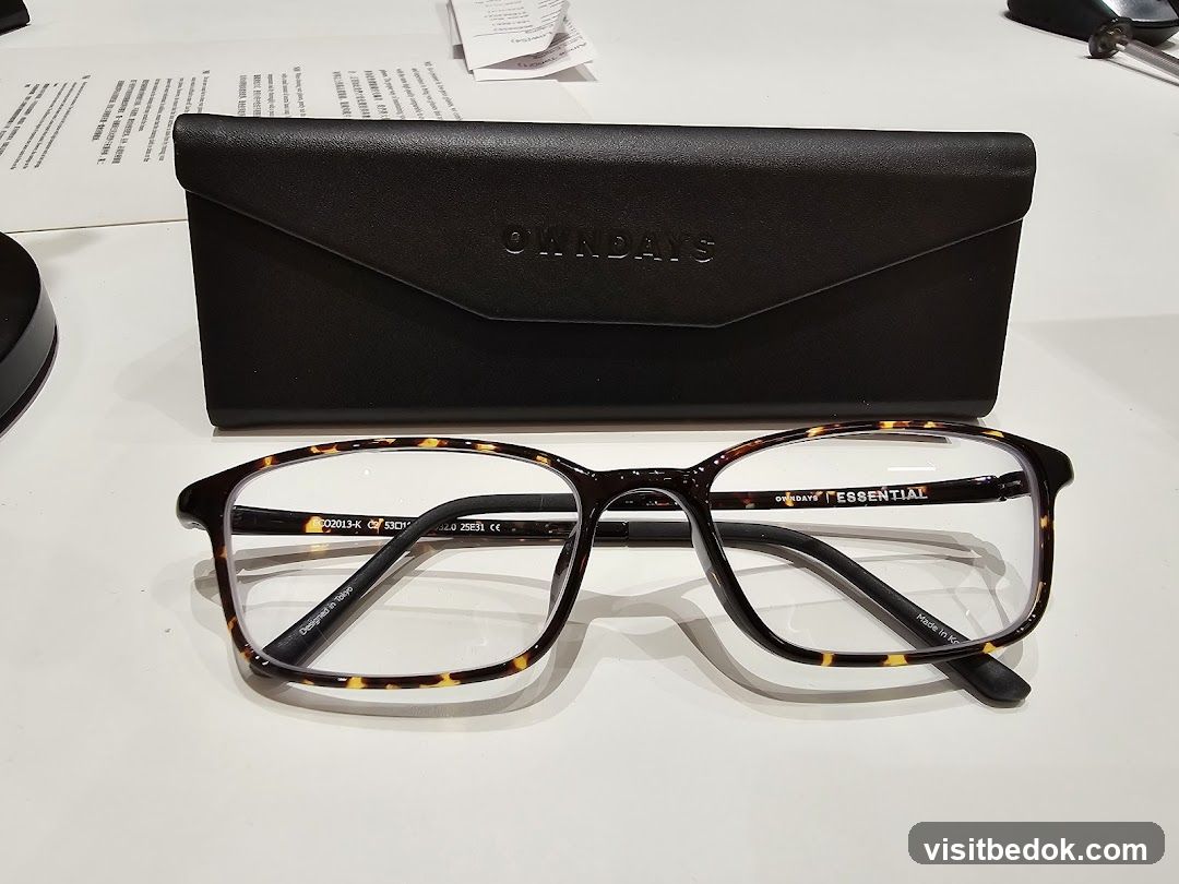 Eyeglasses and Case