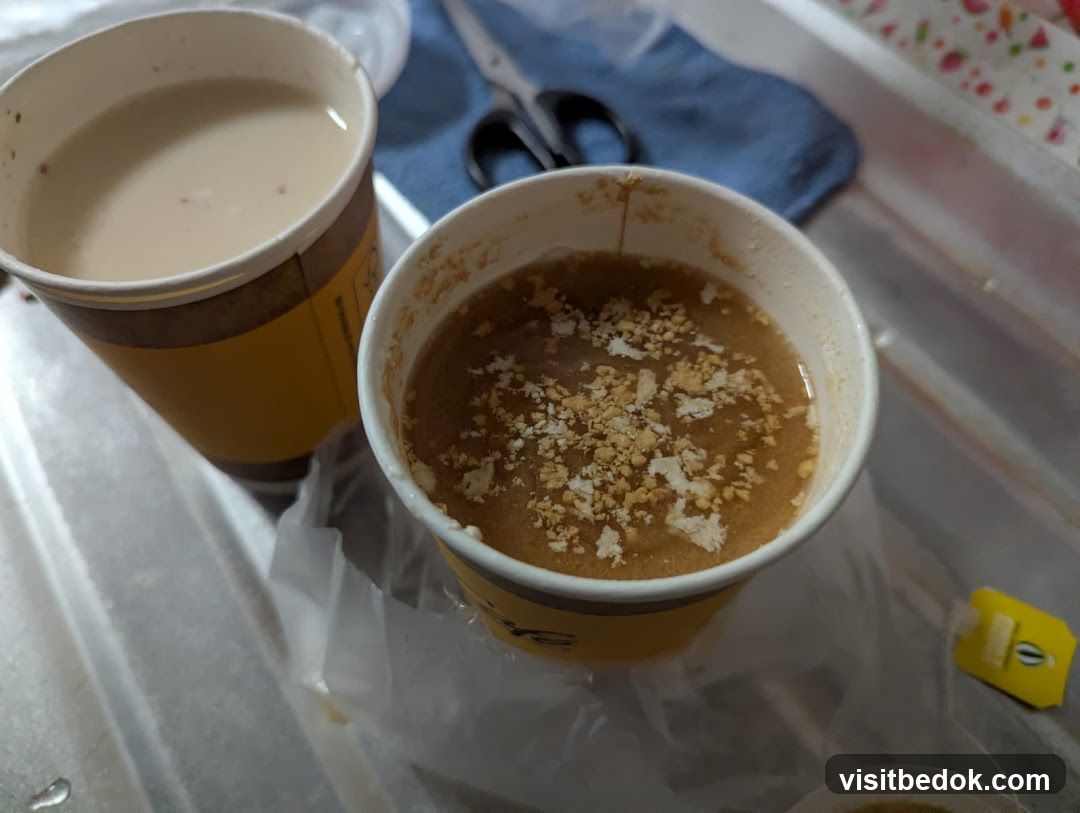 Two drinks in paper cups