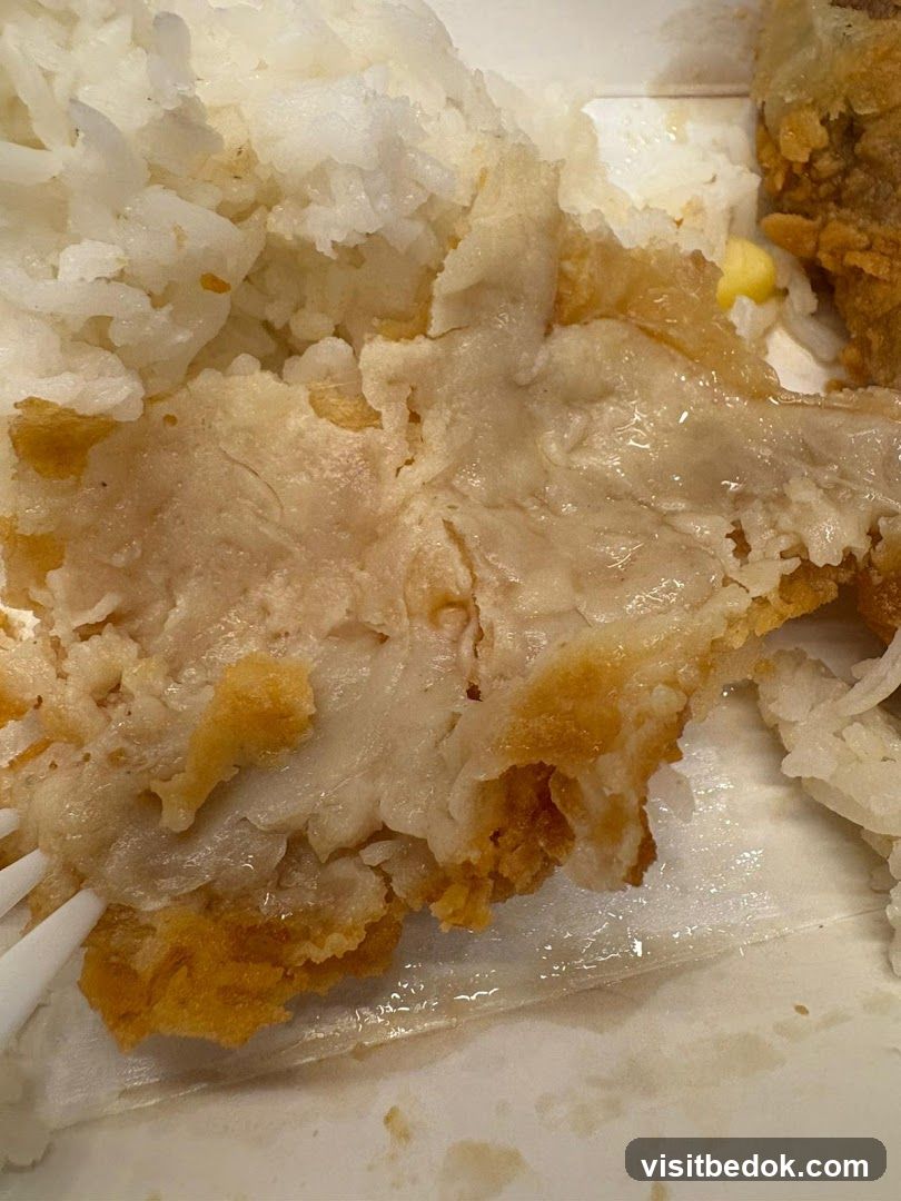 Fried Fish and Rice