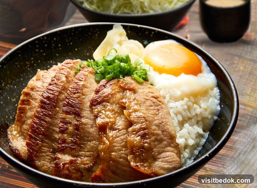 Pork Rice Bowl