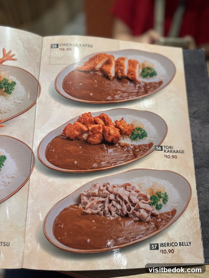 Curry Dishes