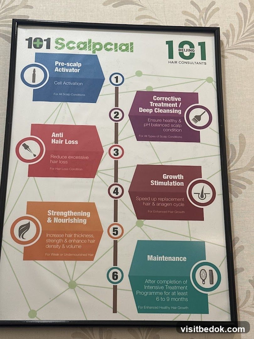 101 Scalpcial Hair Consultants Treatment Flowchart