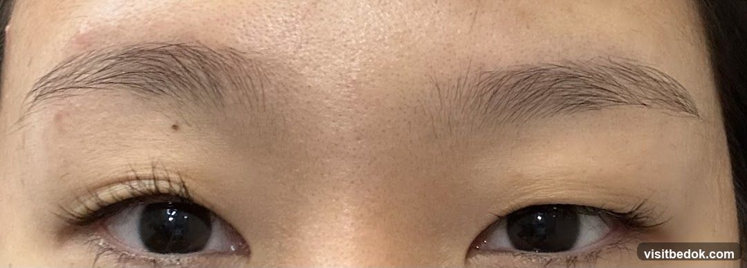 Close-up of Eyes and Eyebrows