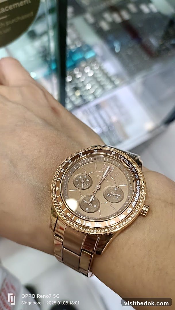 Rose Gold Watch