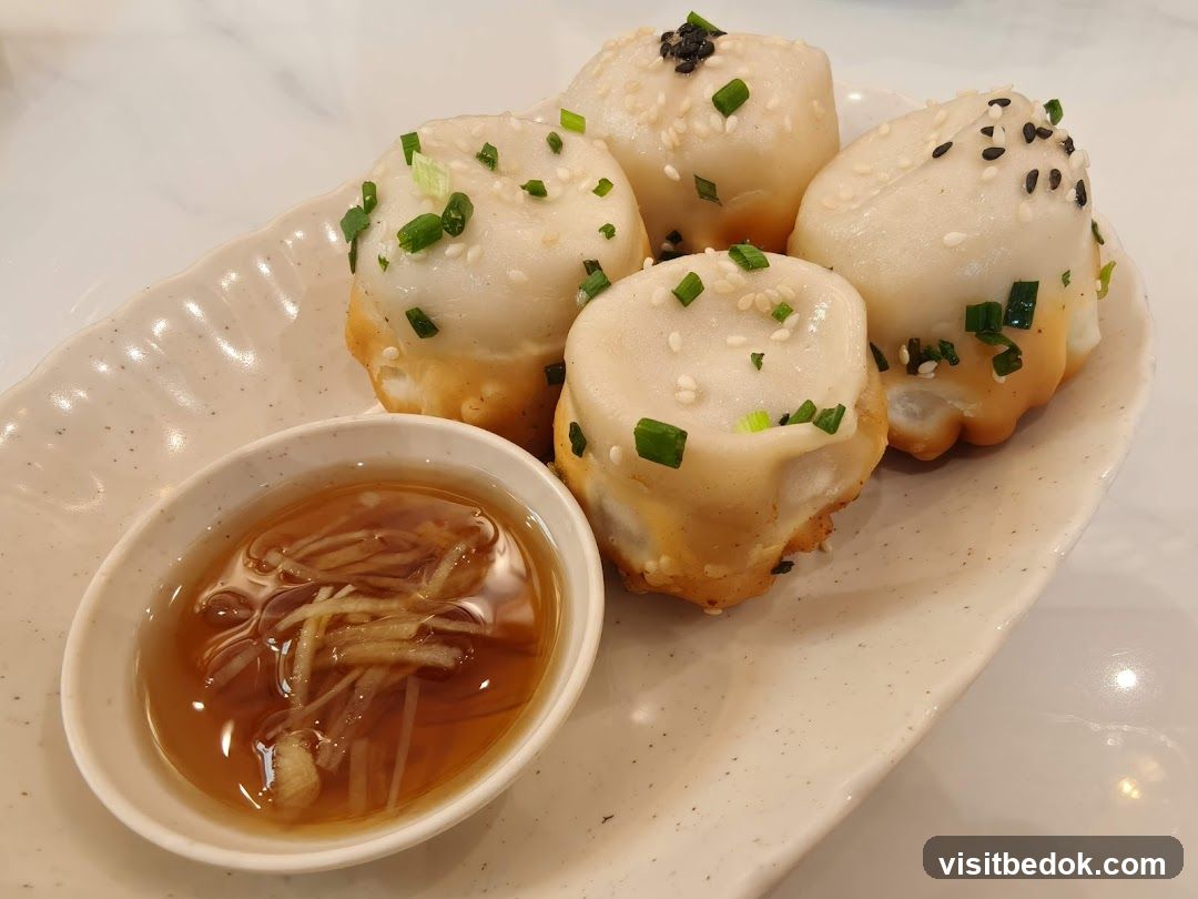 Pan-fried Soup Dumplings