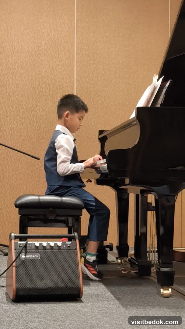 Boy playing piano