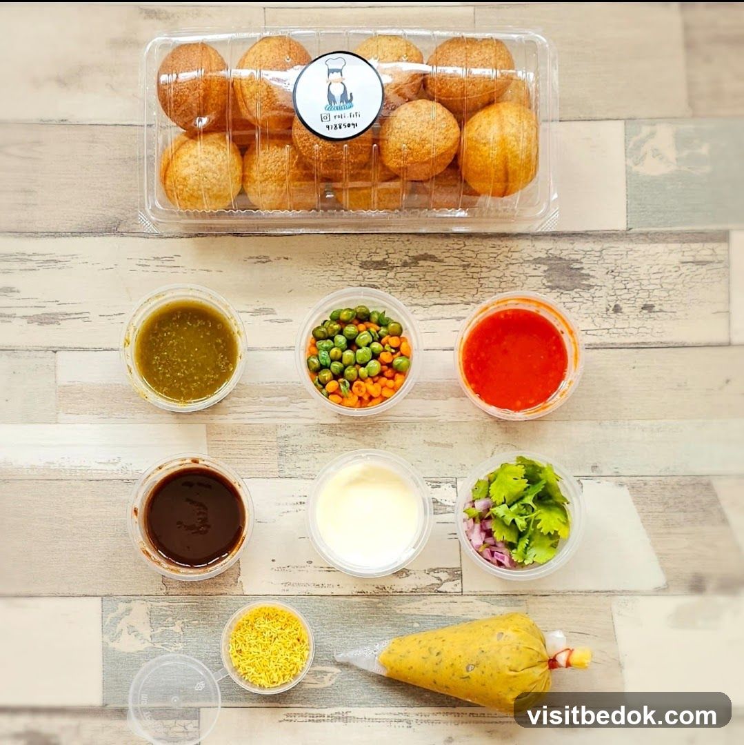 Pani Puri Kit