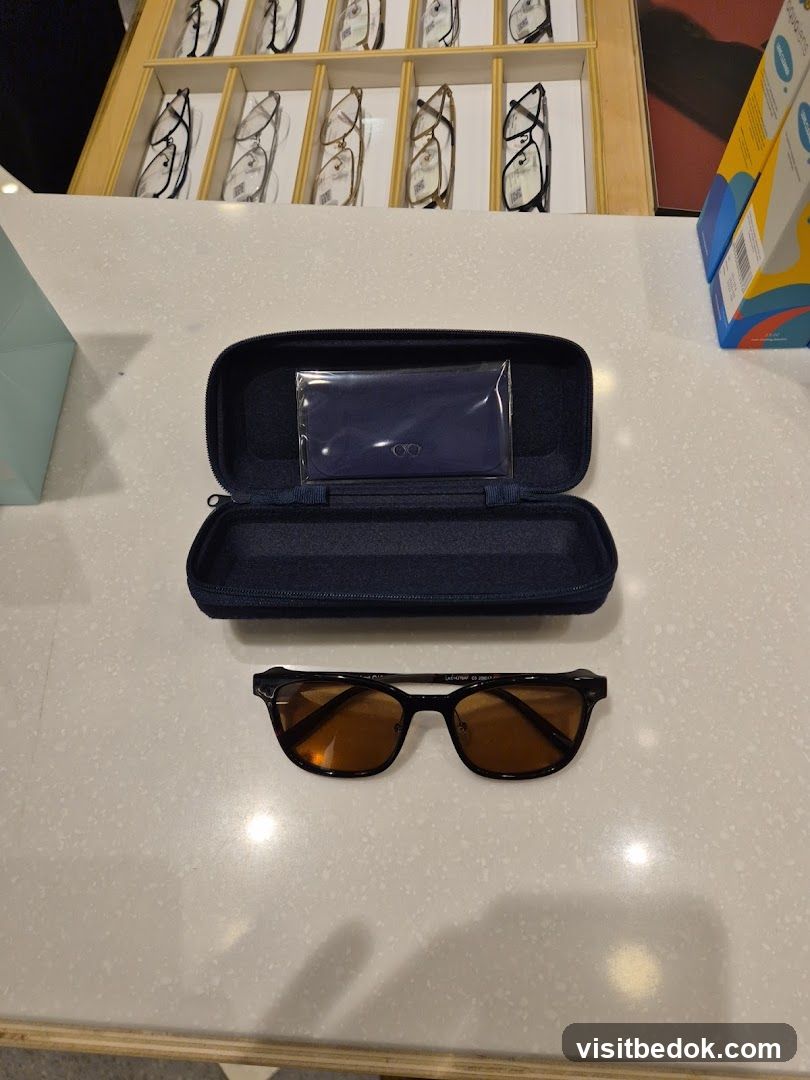 Eyeglasses and Case
