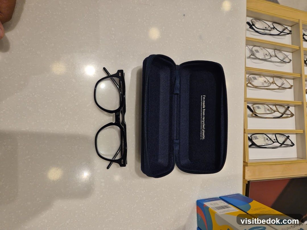 Eyeglasses and Case