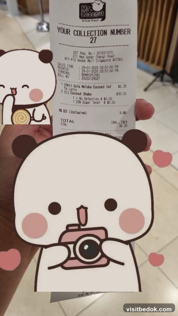 Mr. Coconut Receipt