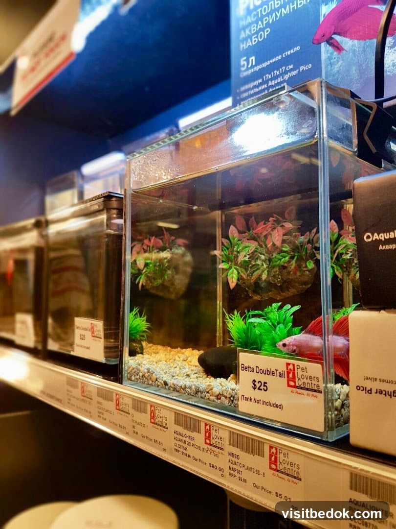 Aquarium Display