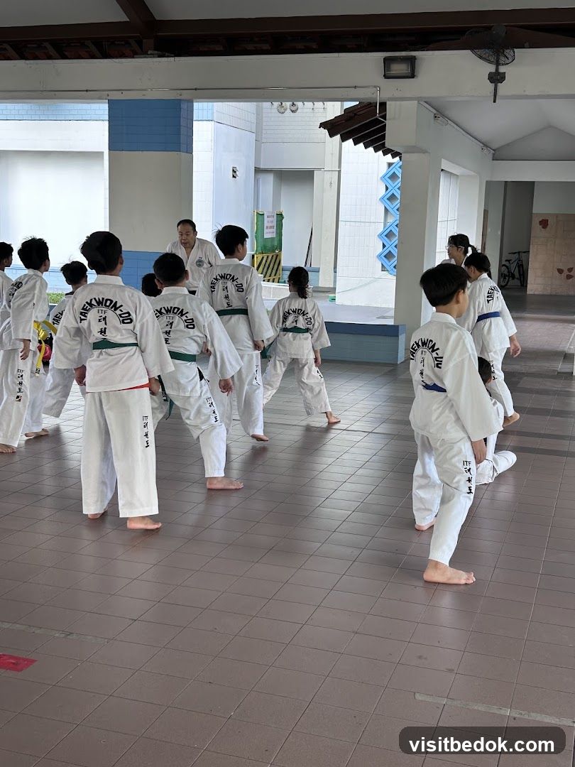 Taekwondo Class