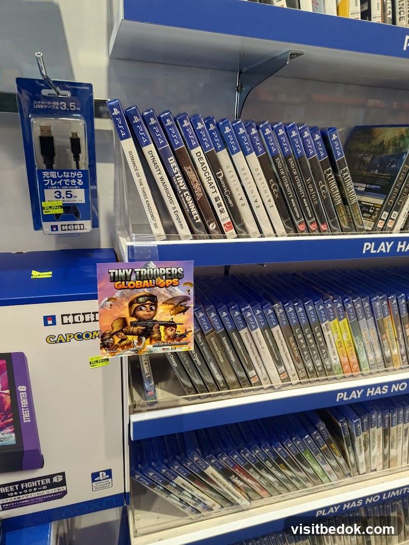 Video Game Store Display
