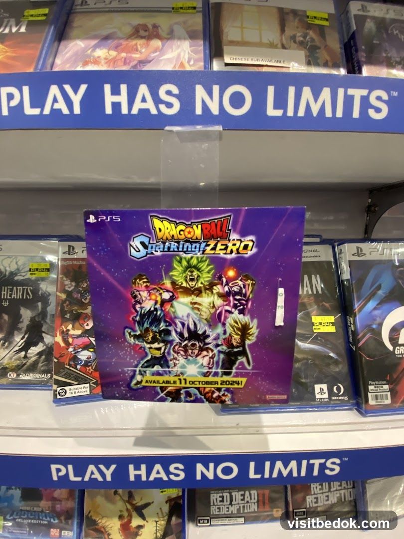 Video Game Display