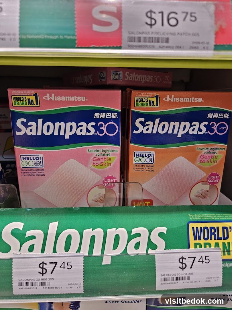 Salonpas Pain Relief Patches