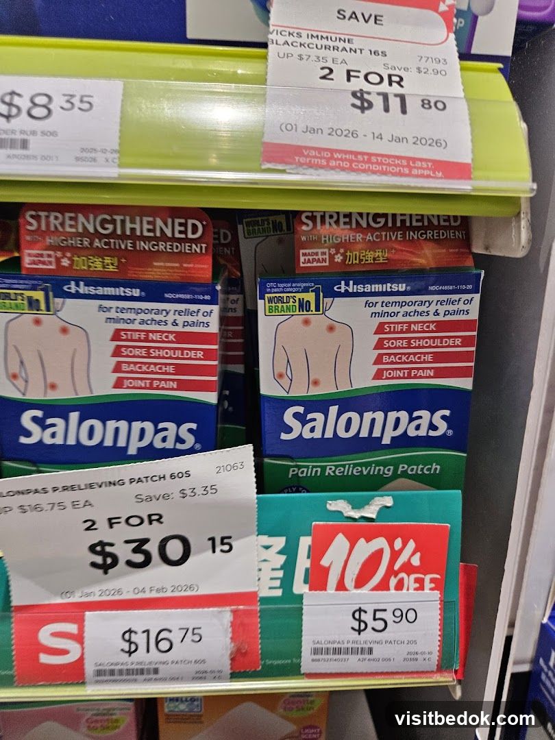 Salonpas Pain Relieving Patches