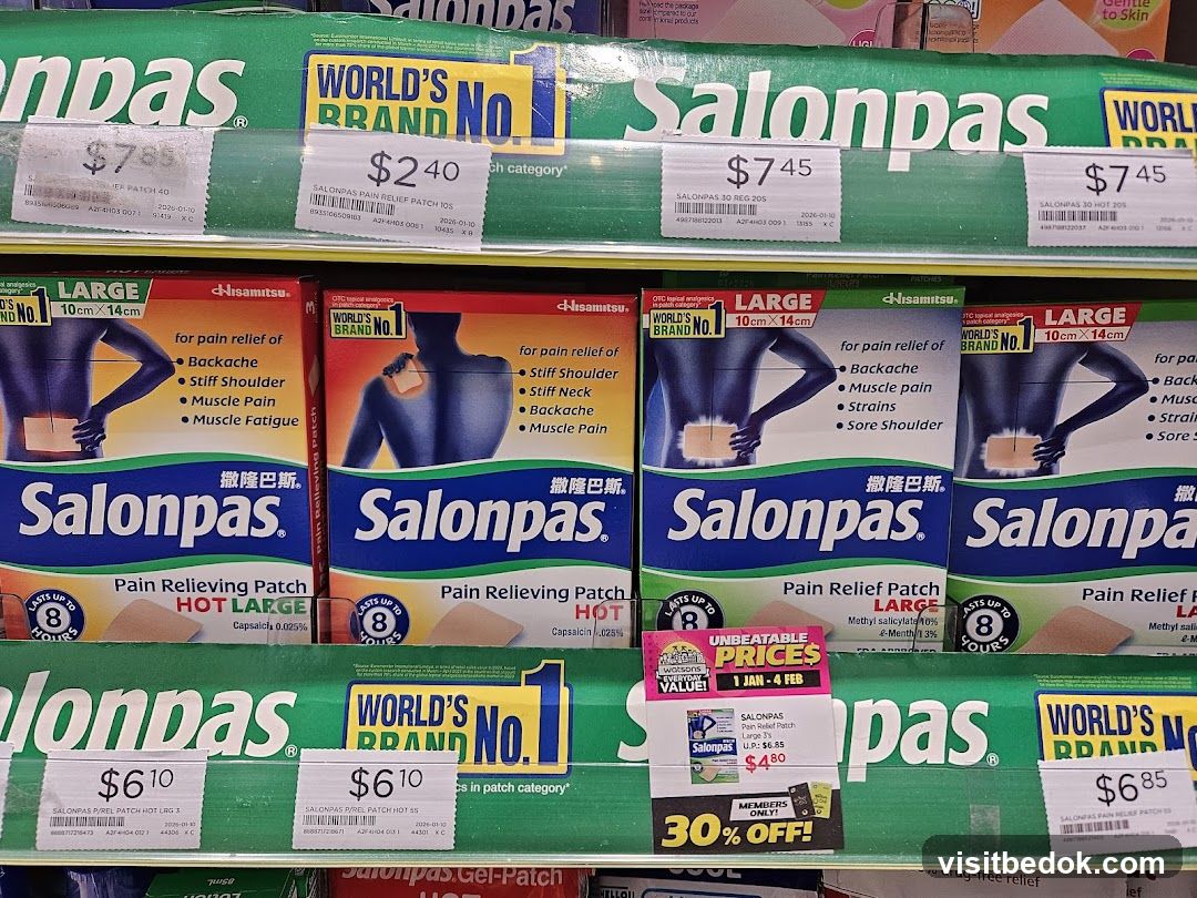 Salonpas Pain Relief Patches