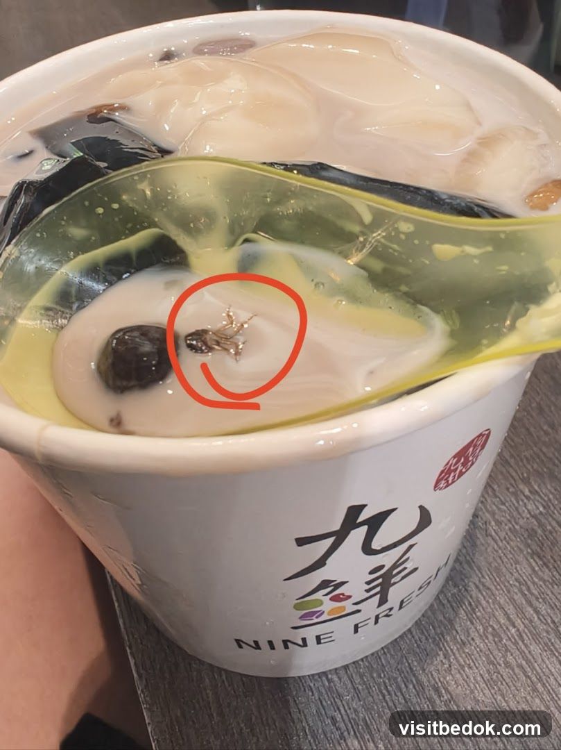 Dessert with insect