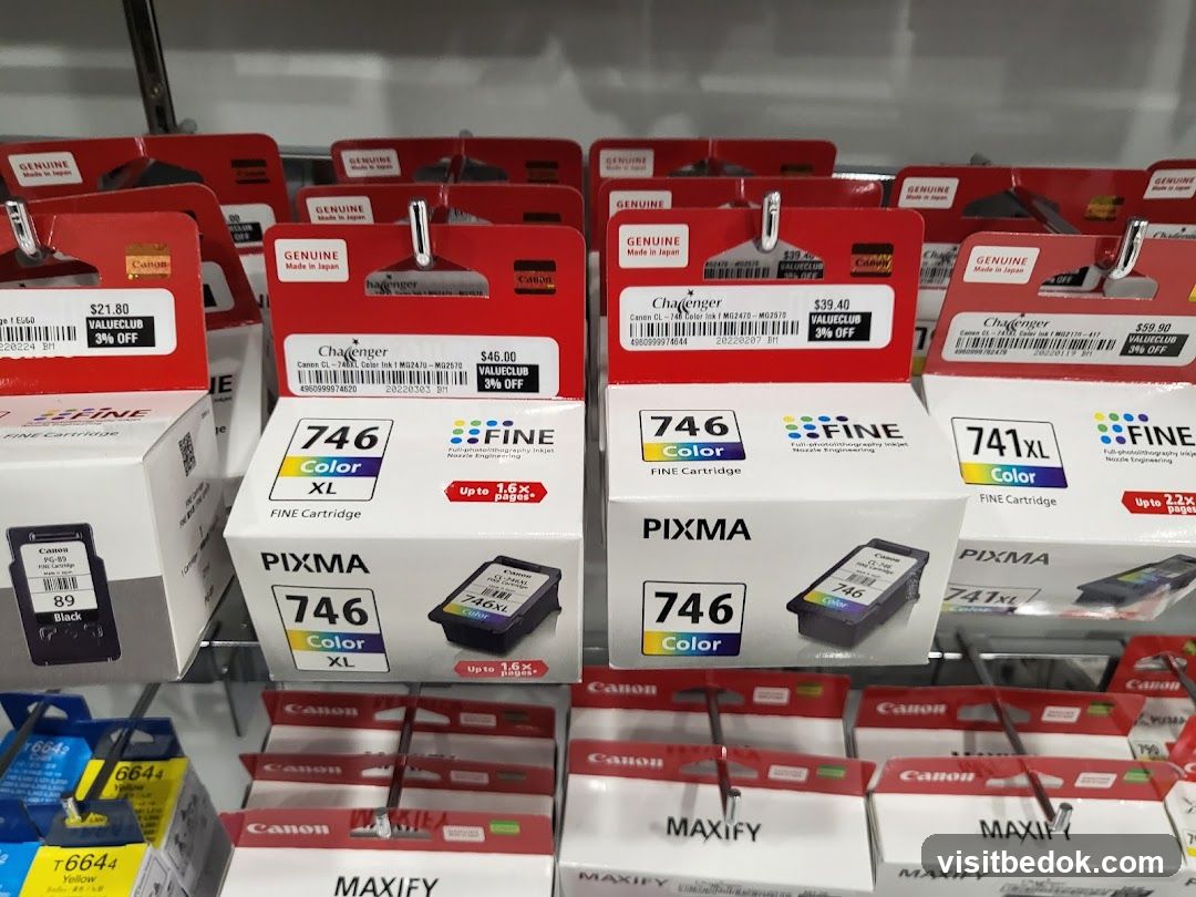 Printer Ink Cartridges