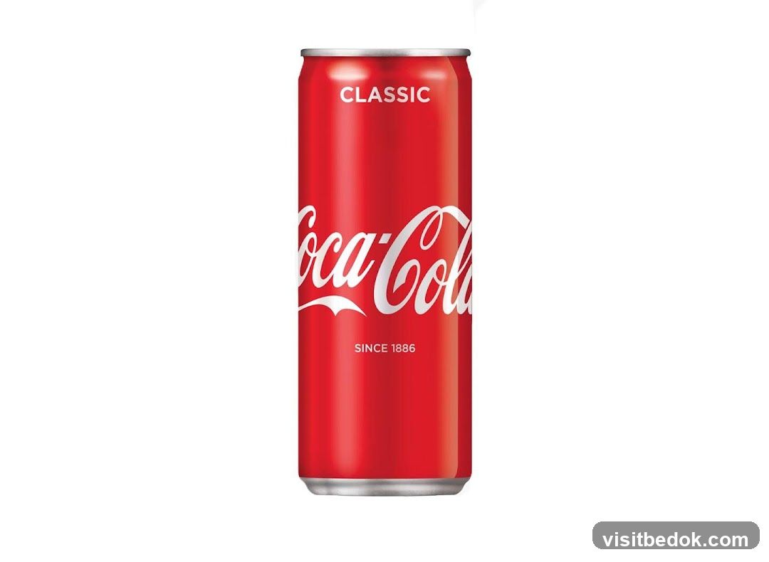 Coca-Cola Classic Can