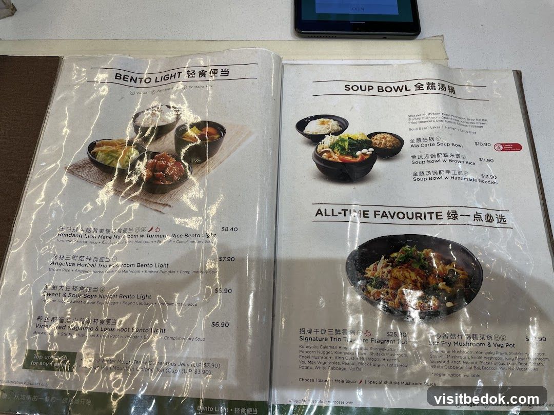 BENTO LIGHT & SOUP BOWL
