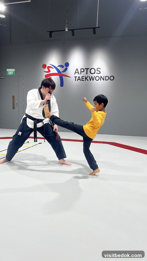 Taekwondo Training