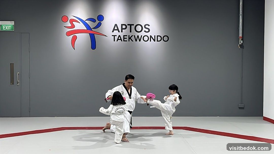 Taekwondo Class