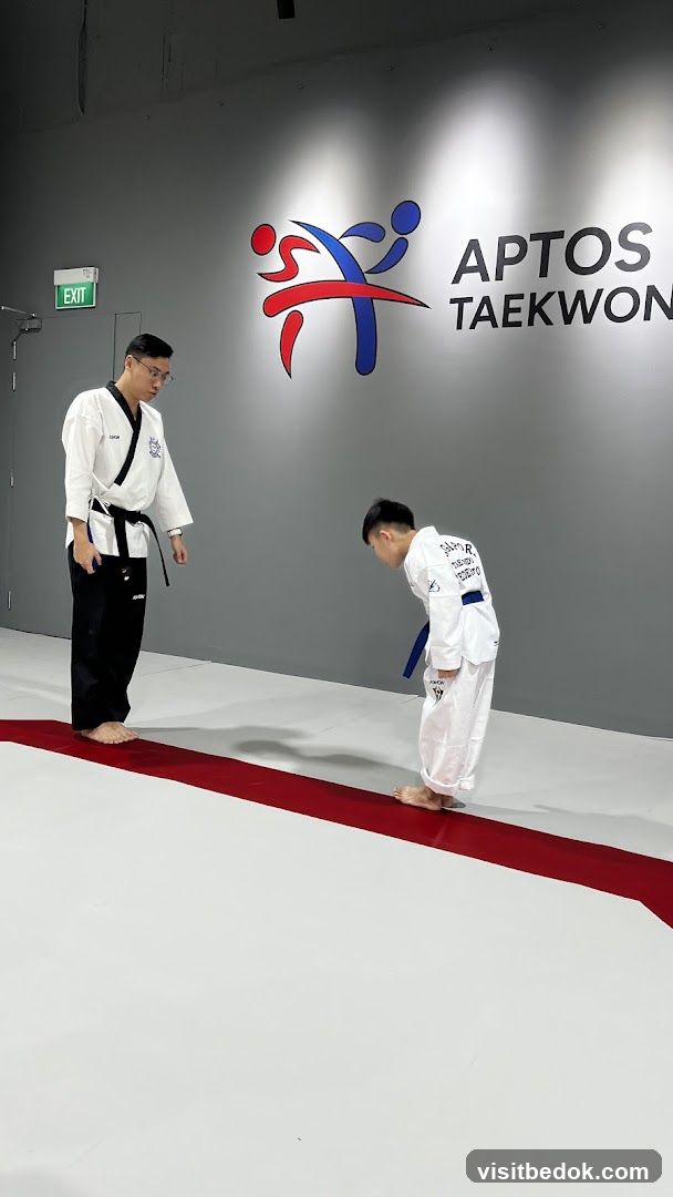 Taekwondo Training Session