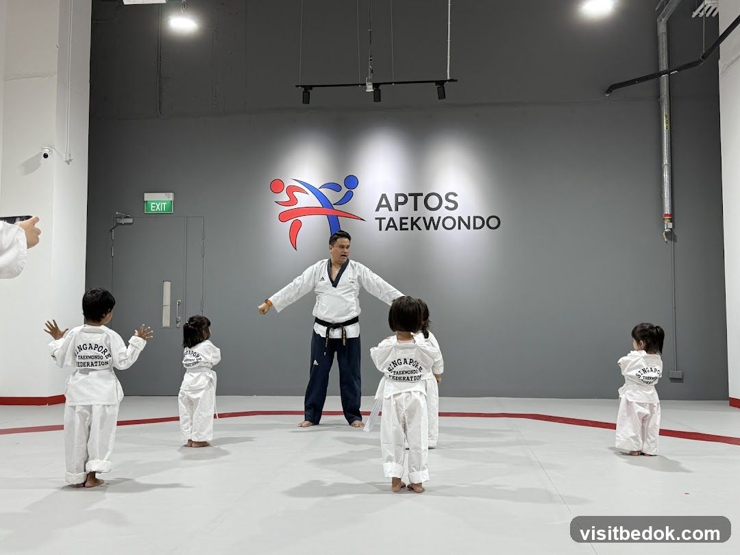 Taekwondo Class
