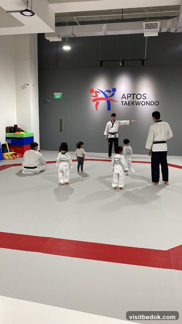 Taekwondo Class