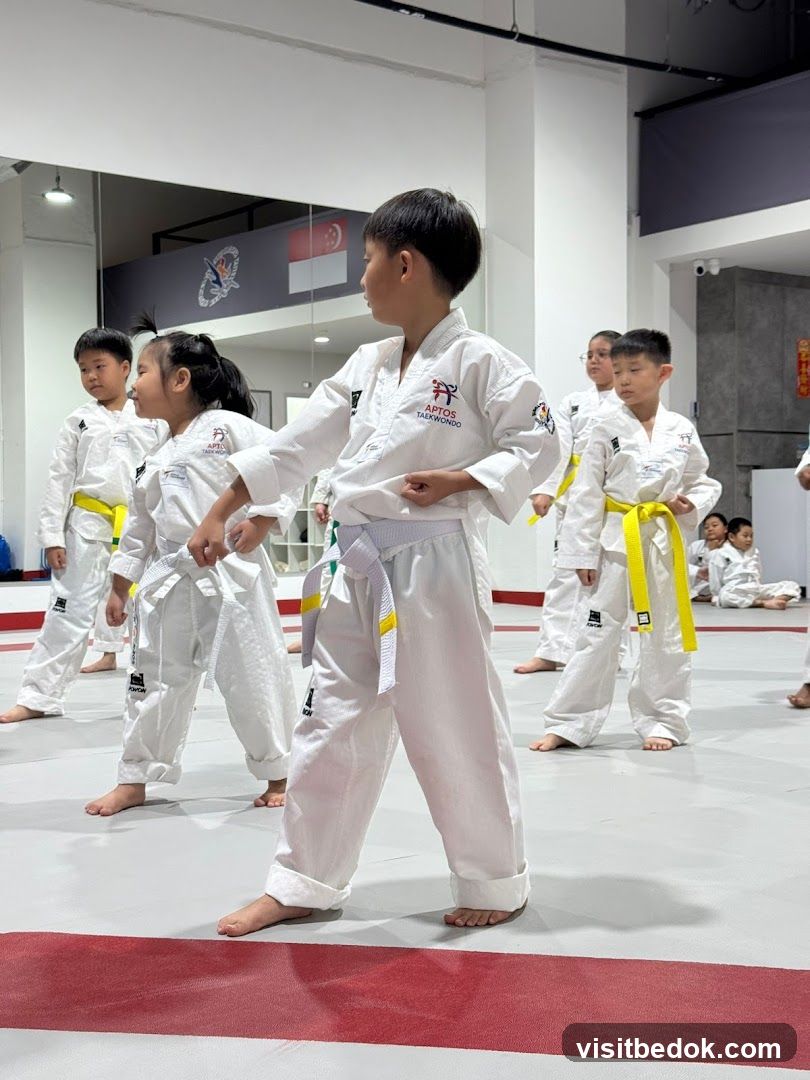 Taekwondo Class