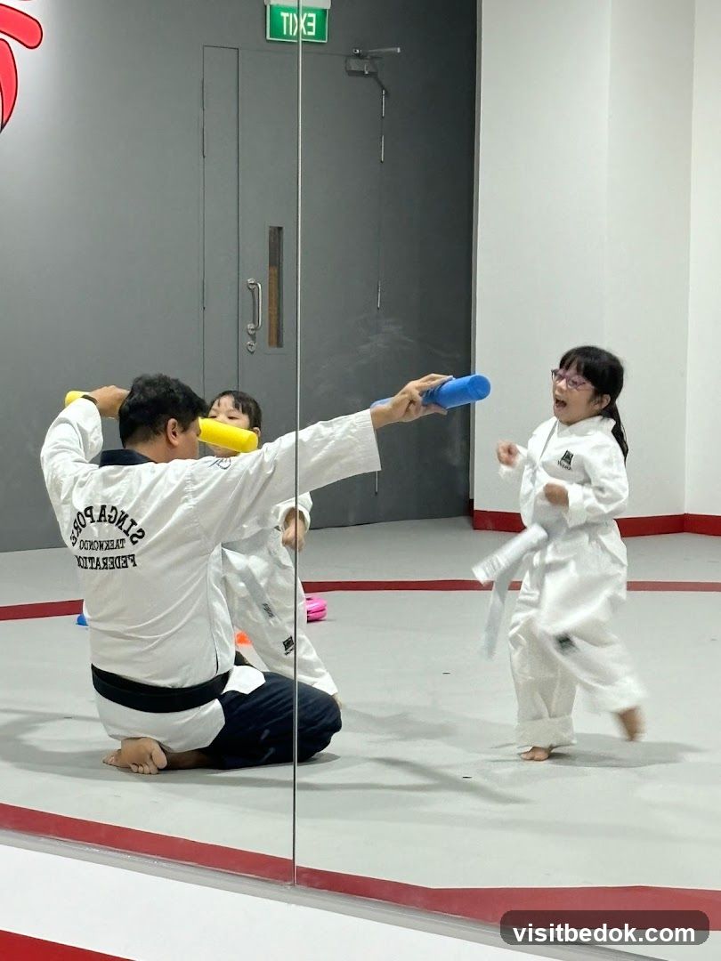 Taekwondo Class