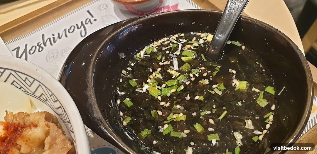 Yoshinoya Soup