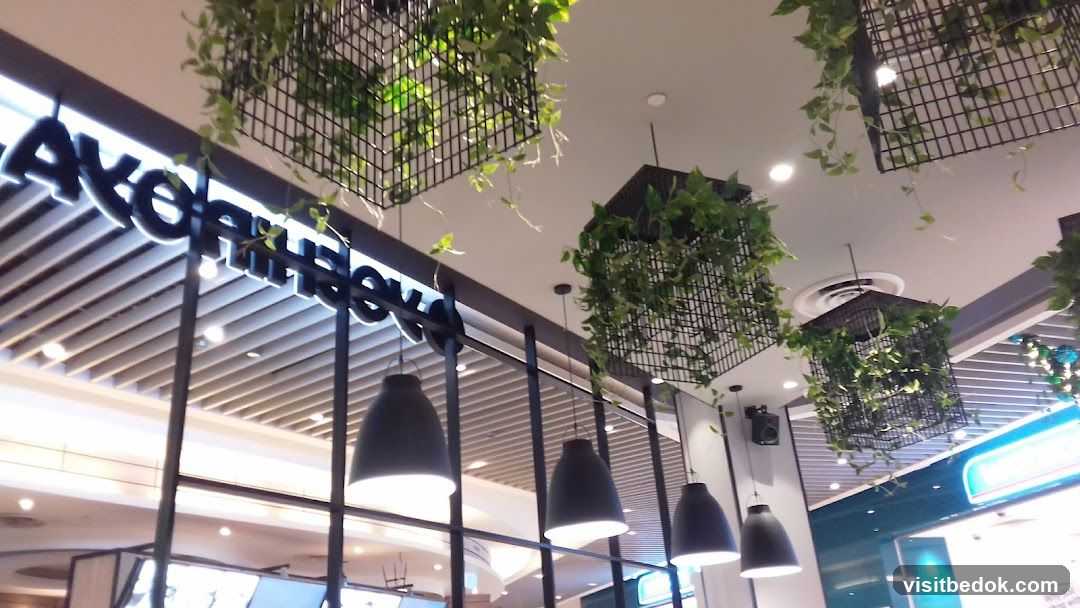 Interior of a cafe with hanging plants and lights