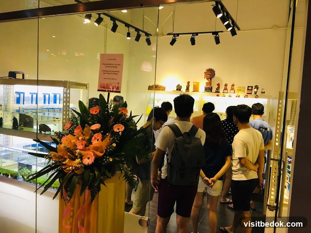 Grand Opening Celebration