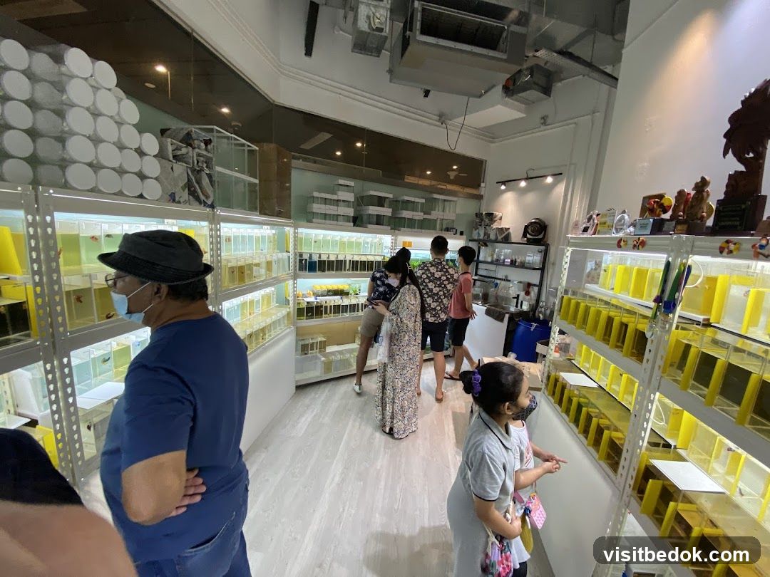 Fish Store Interior