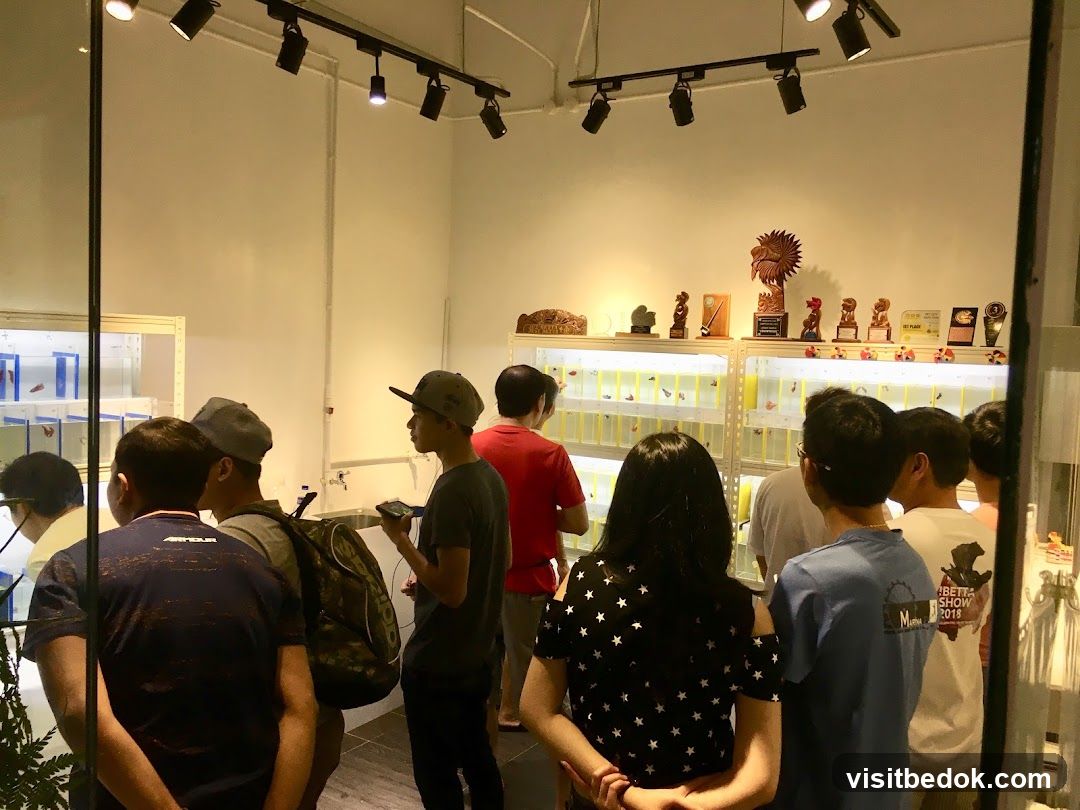 Fish Store Interior