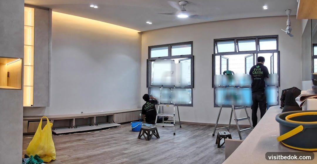 Window Cleaning Service
