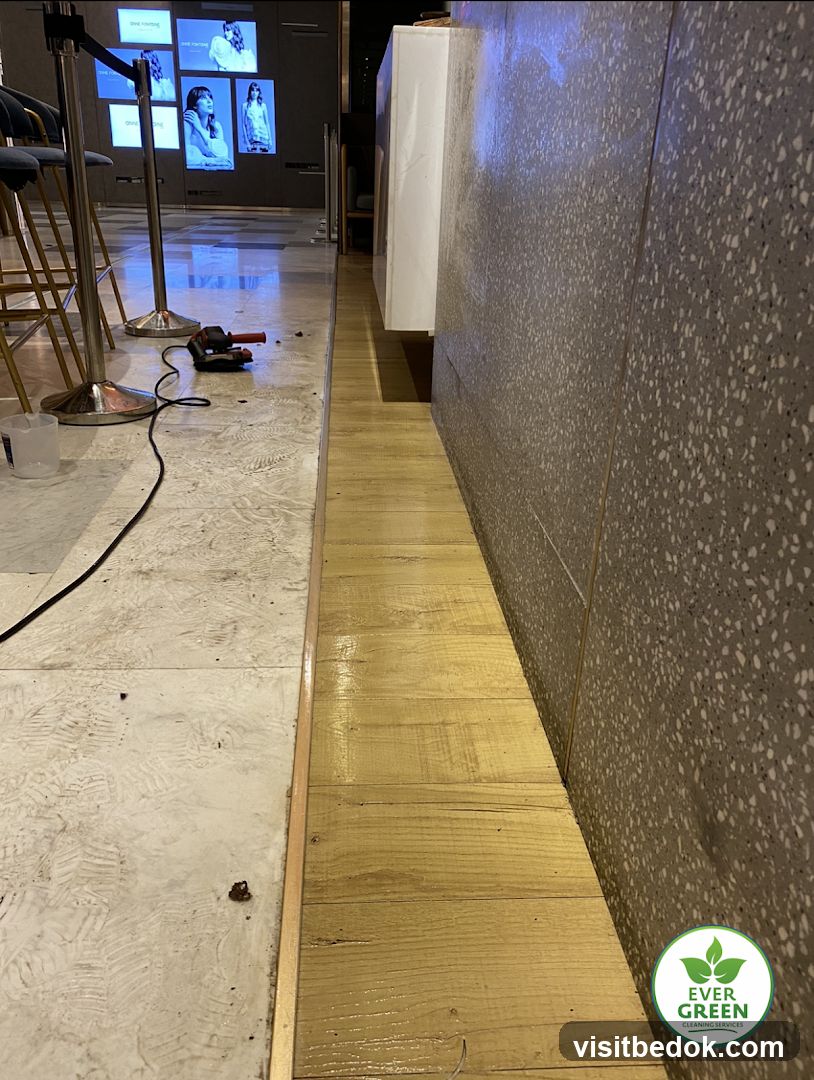 Cleaning in Progress