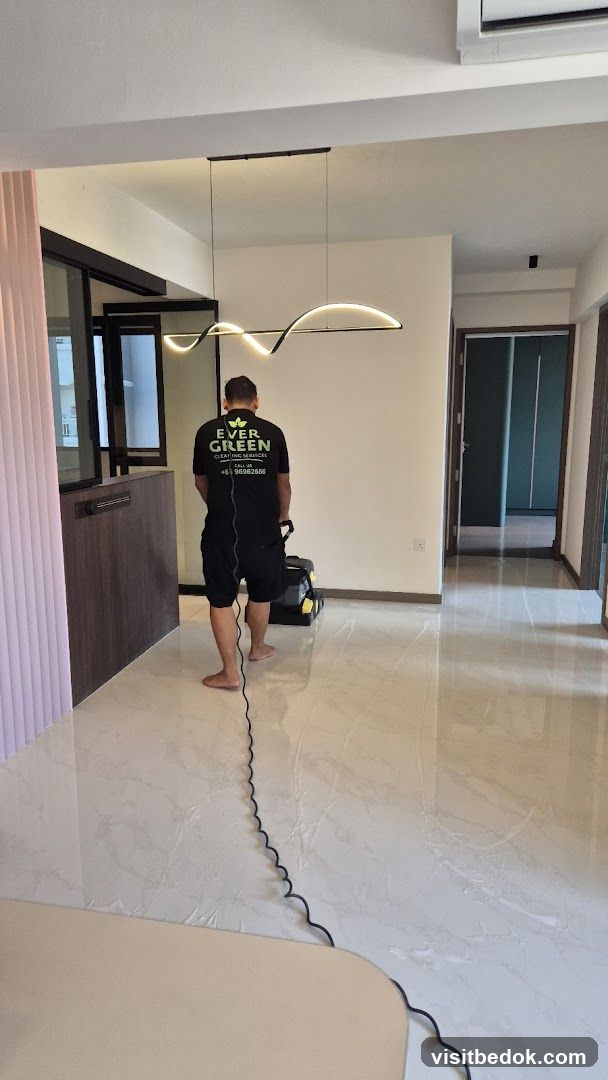 Cleaning Services