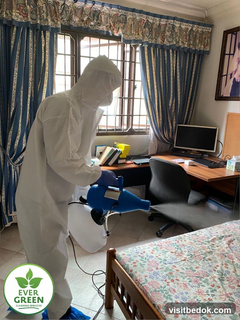 Disinfection Service